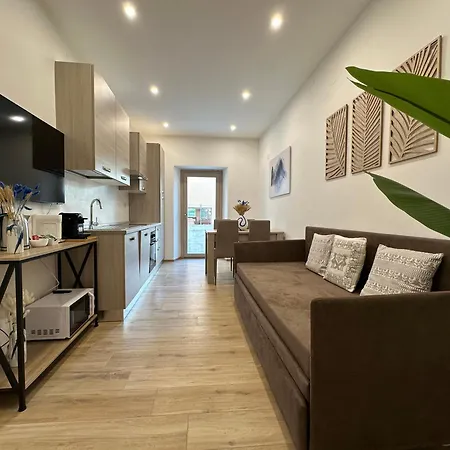 Ng Collection Il Barbagia * 阿尔盖罗