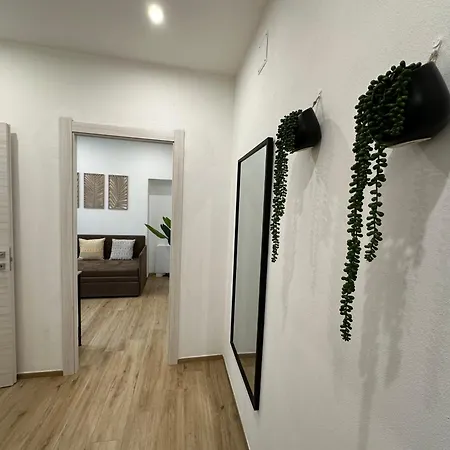 Ng Collection Il Barbagia